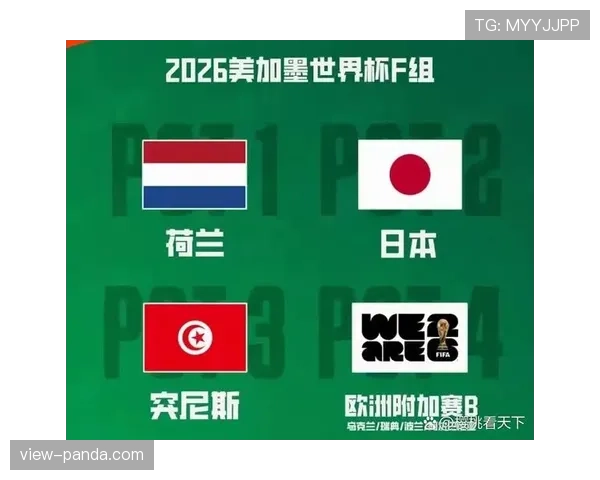 突尼斯2026世界杯赛程前瞻：小组赛对手与出线形势分析