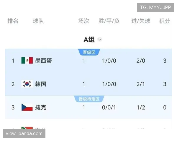 世界杯A组南非VS捷克比赛结果预测 世界杯A组南非VS捷克比赛结果预测