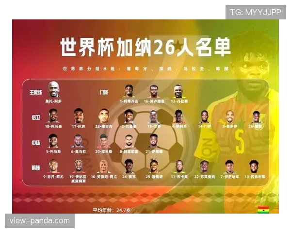 加纳国家队世界杯参赛历史回顾
